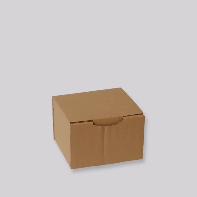 POSTDOOSJE 1  120 X100 X80 MM