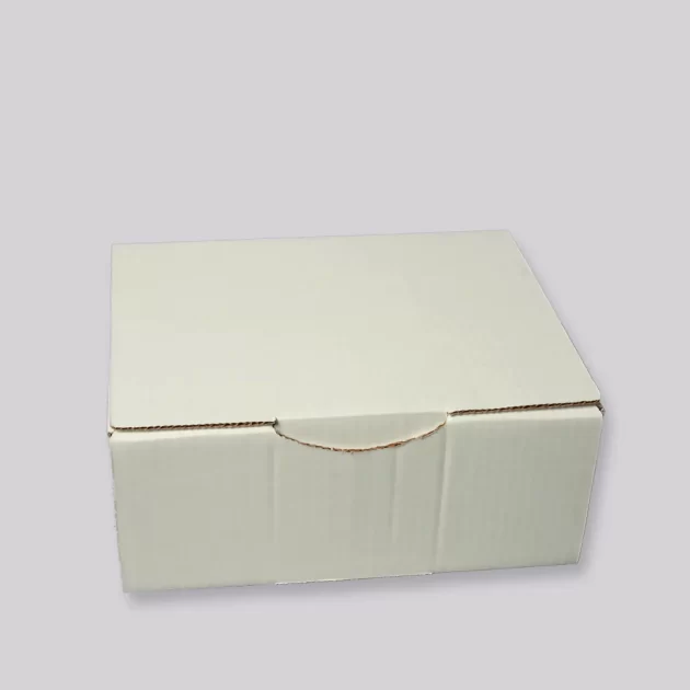 POSTDOOSJE 5  330 X100 X100 MM WIT